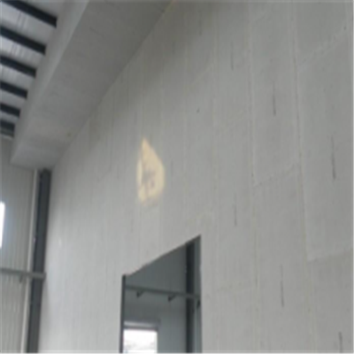 册亨宁波ALC板|EPS加气板隔墙与混凝土整浇联接的实验研讨